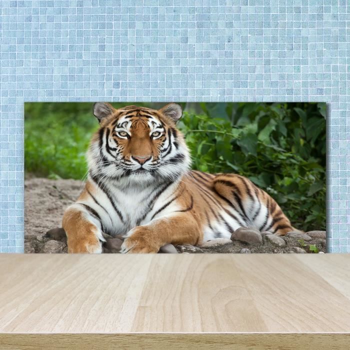 PLANCHE À DÉCOUPER EN VERRE 30x52 Tigre