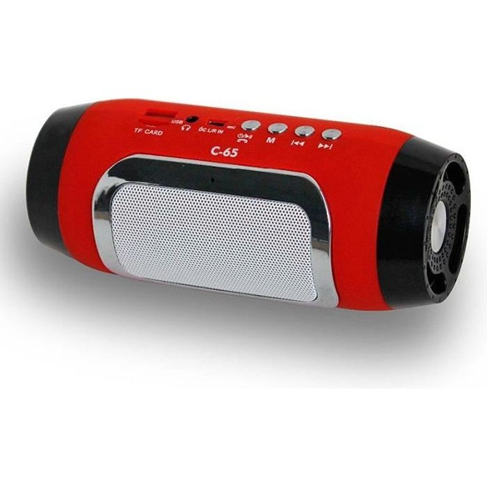 Mini Enceinte Bluetooth Sans-Fil Portable FM Radio Fente Carte Mains libres RD