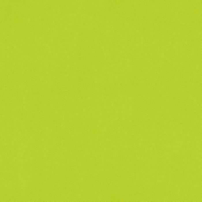 Papier Peint Uni Et Colore Vert Anis 10 Ml X 0 53 M Achat Vente Papier Peint Papier Peint Uni Et Colore Cdiscount