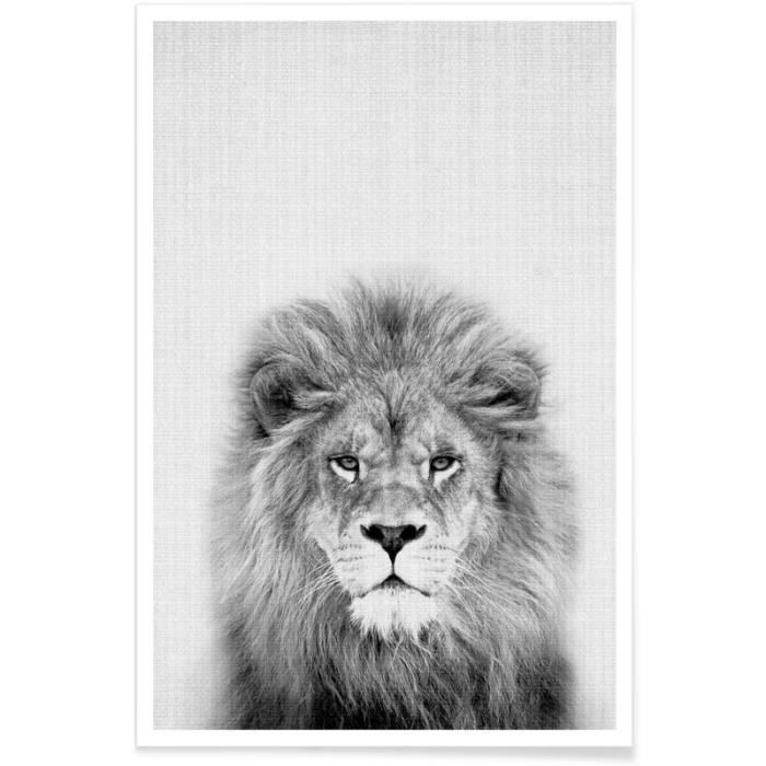 Lion Affiche 40x60 Cm Animaux Animaux Sauvages Noir Blanc Lions Blanc Gris Noir Achat Vente Affiche Poster Cdiscount