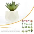 18pcs beaux polyvalents artificiels hebdomadaires succulents fleur-plante artificielle - fleur sechee vase - coupe - fleur-1