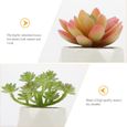 18pcs beaux polyvalents artificiels hebdomadaires succulents fleur-plante artificielle - fleur sechee vase - coupe - fleur-3