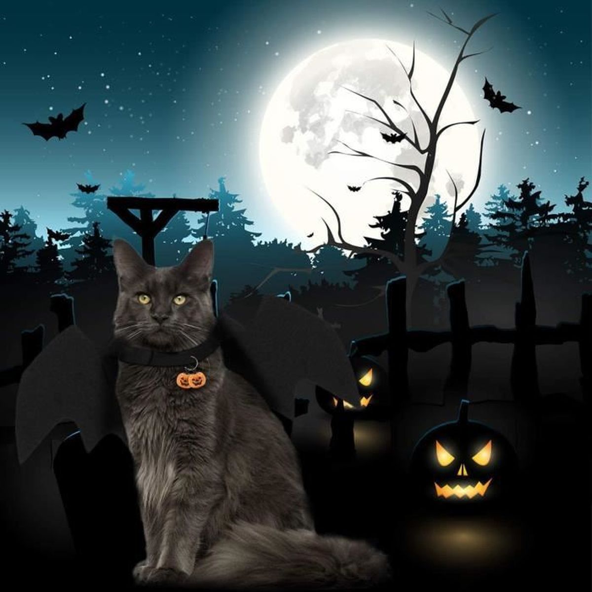 FLAdorepet Halloween pour Animal Domestique Chien Ailes de Chauve-Souris Chat Costume de Chauve-Souris