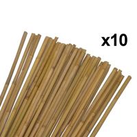 Tuteurs pour plantes et légumes en bambou - Lot de 10 - Hauteur 120 cm