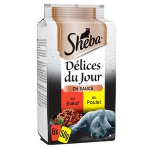 BOITES - PATÉES Sachet Fraicheur Délices du Jour Aux Viandes 300G - Lot De 4