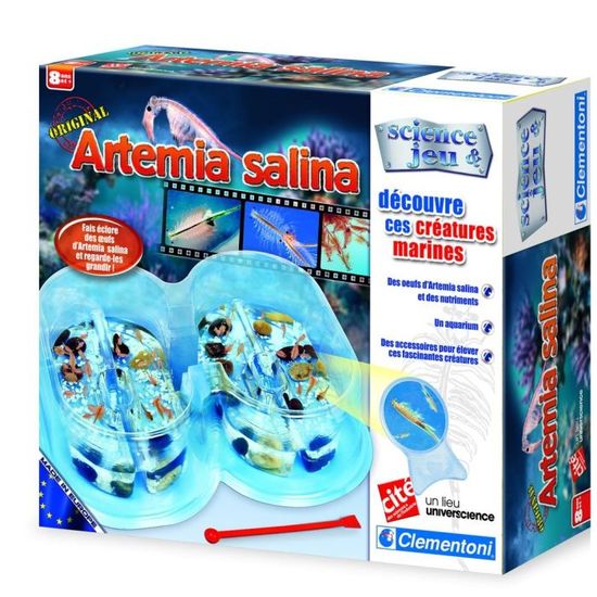 Jeu En Boite Vintage Sapientino L'Écologie Clementoni Complet