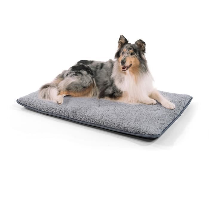 Lit pour Chien - Brunolie Finn - Inodore, hygiénique et antidérapante - Taille M (100 x 70 x 5 Cm) - Gris