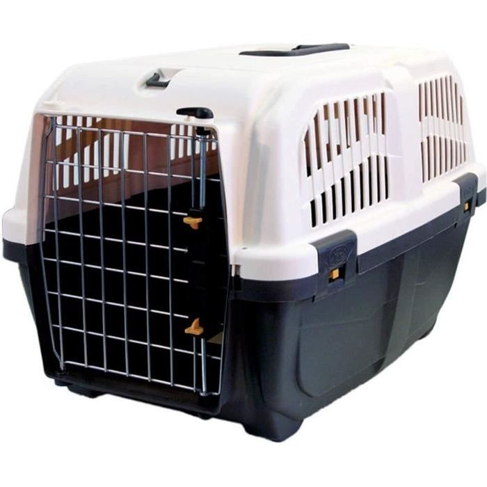 Iata Caisse Chien