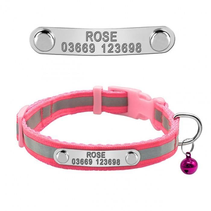 Version Rose Xs Reflechissant Nylon Petit Chiot Chat Chien Colliers Personnalise Plaque Signaletique 55 Achat Vente Collier Version Rose Xs Cdiscount