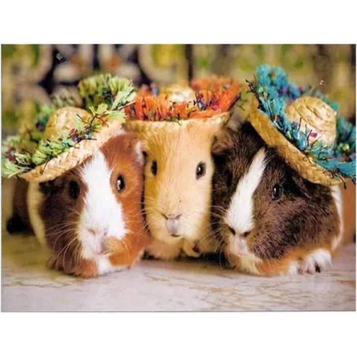 Bowetile 5D Plage Coquillage Diamond Painting, Kit Complet DIY Paysage Diamant Painting, Peinture Diamant Adulte Océan, Point De Croix Strass Cristal Pour Décoration Murale 30x40 Cm