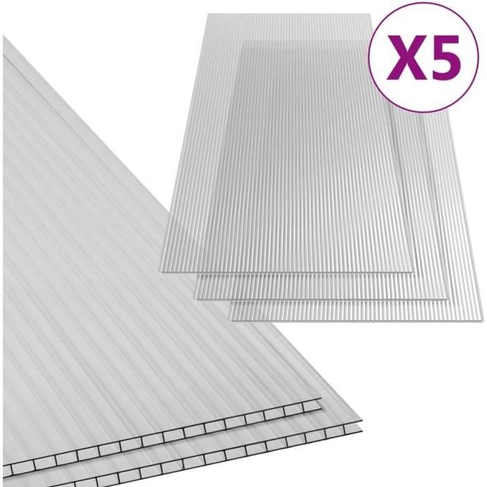 VidaXL Feuilles de polycarbonate 5 pcs 6 mm 150x65 cm - Cdiscount Bricolage