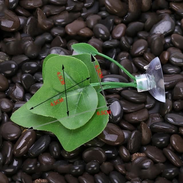 PLANTE D