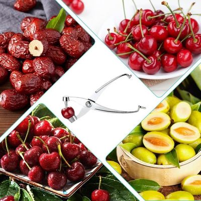 Dénoyauteur Cerises VIDSTW 🍒 | 8 Troues | Pour Olives, Prunes | ABS Alimentaire | Facile à Nettoyer