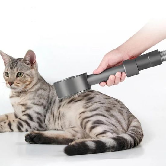 Brosse pour chat et chien pour animaux de compagnie bâton de chat  dispositif à poils