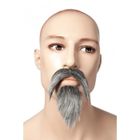 Kit barbe et moustache de mandarin autocollantes pour adulte - PTIT CLOWN - Gris - 2 éléments - Carnaval