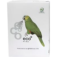 Papier ramette Iberpapel Eco Plus A4 500 feuilles 80g Blanc