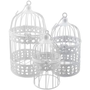 Cage Oiseaux Decorative