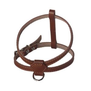 Chiots Noir Disponible en diff/érentes Tailles MICHUR Cucciolo Noir Harnais pour Chien Cuir Cuir Harnais pour Chien pour Petits Chiens