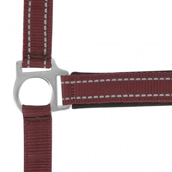 Equipride Licol En Nylon Imitation Doublé Avec Laisse Assortie Bordeaux Pour Poney