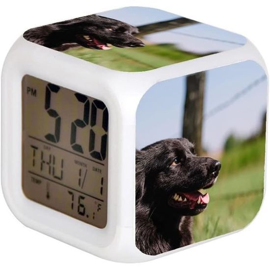 TUSERXLN Réveil Cheval - Alarme Animale - LED - Avec Lumière