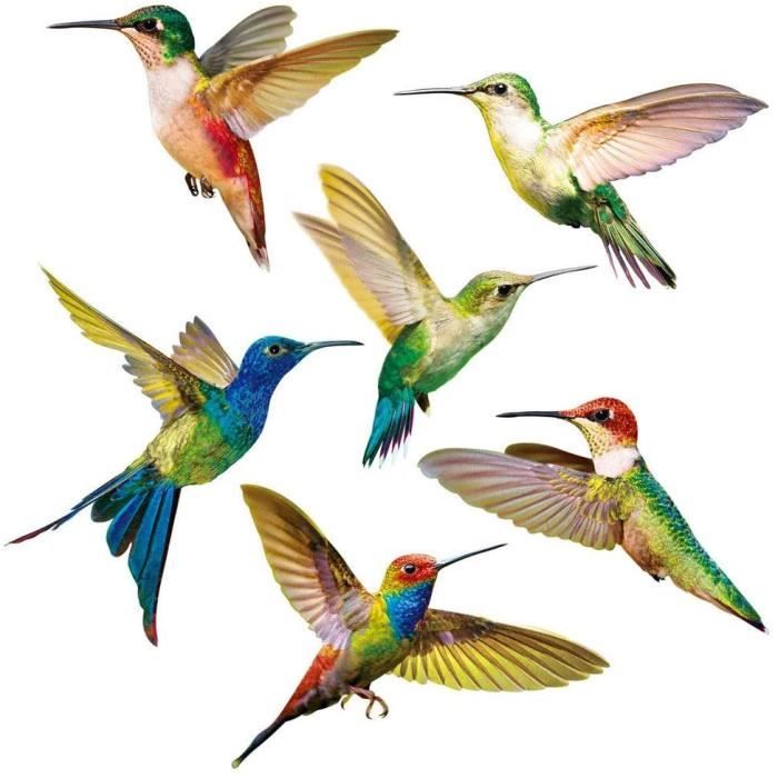 6 Pièces Autocollants Colibri, Accroche de Fenêtre d'Oiseau, Stickers Anti-Collision pour Vitres, Simplicité Modèle Colibri PVC Stic