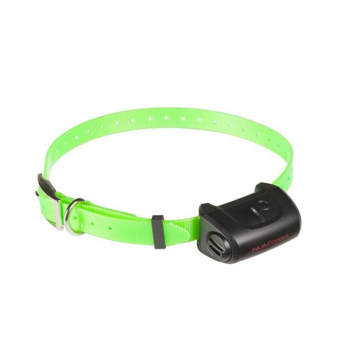 NUMAXES Collier supplémentaire CANICOM 5 - Sangle verte