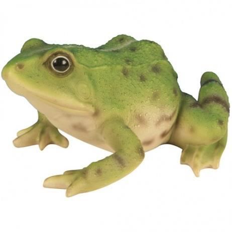 GRENOUILLE VERTE 15CM