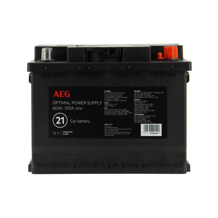 AEG Batterie 21 60Ah / 540A - L2