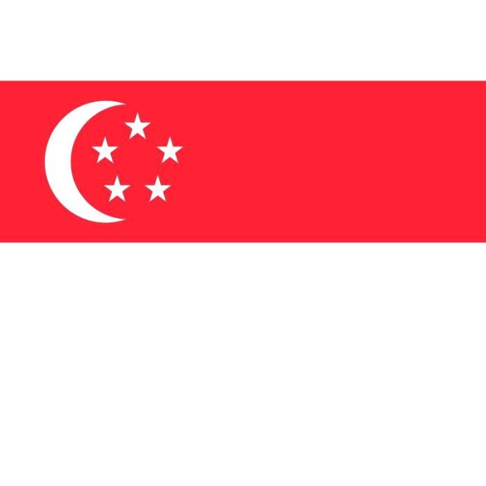 singapour drapeau