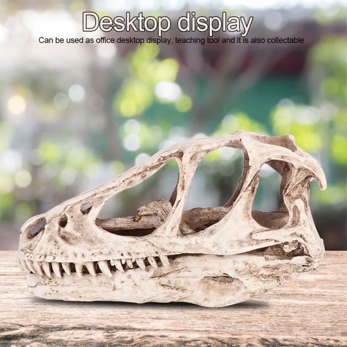 AMITD 1:35 Camarasaurus Modèle Sauropod Dinosaure Animal Collector GK Decor Gift (Marron avec boîte AMITD 1:35 Camarasaurus Modèle Sauropod Dinosaure Animal Collector GK Decor Gift (Marron avec boîte