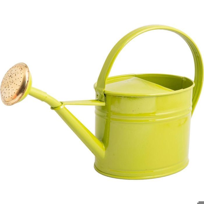 Arrosoir En Acier Galvanise Avec Pomme 1 75 Litres Vert Olive Vert Olive Achat Vente Pulverisateur Jardin Arrosoir En Acier Galvanise Cdiscount