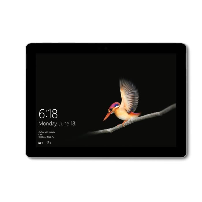 Microsoft Surface Go 254 cm (10) 1800 x 1200 pixels 64 Go 4 Go Windows 10 Argent - Microsoft