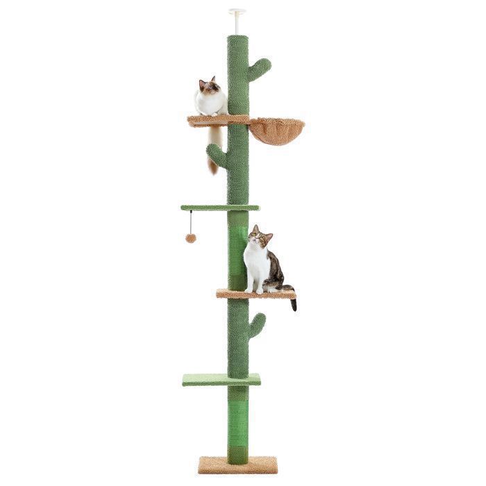 Meilleurs prix pour PAWZ Road Arbre à Chat au Plafond Cactus, Hauteur ajustable, Poteau griffoir sisal, hamac suspendu, 229-275cm