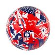 Ballon de football LOSC Kylab - Rouge/Bleu/Blanc - Taille 5 - Qualité match-1