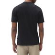 Tee-shirt homme - Dickies - ICON LOGO - manches courtes - noir-1