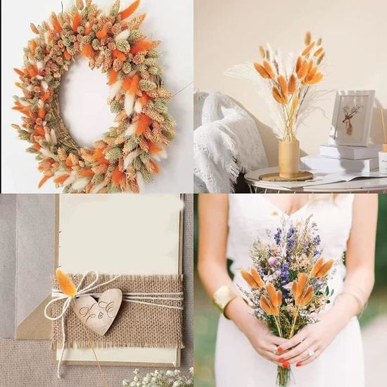 60Pcs Fleurs Séchées D'Automne Queues De Lapin Fleurs Séchées Lagurus