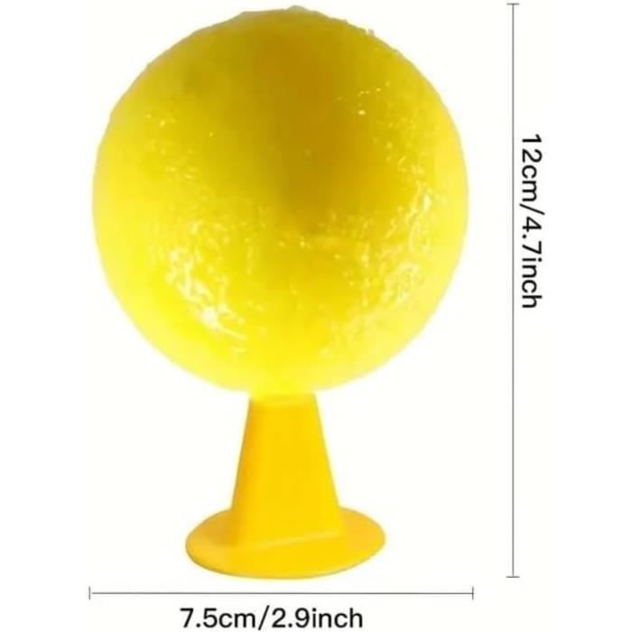 Lot De 8 Pièges à Mouches Des Fruits Jaunes - Collants, Écologiques Anti Mouches Fruits