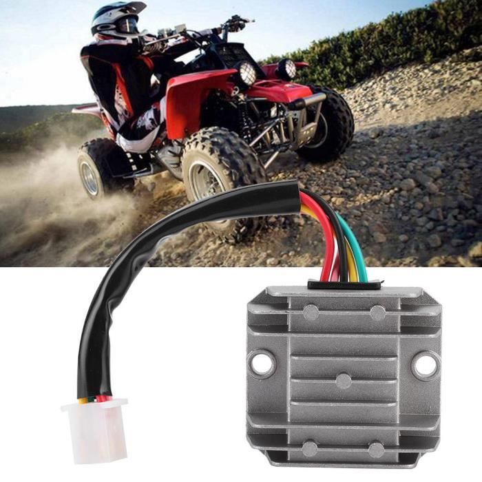 Indicateur de charge de batterie 12V Lampa – Pièce moto, scooter, quad