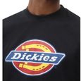 Tee-shirt homme - Dickies - ICON LOGO - manches courtes - noir-2