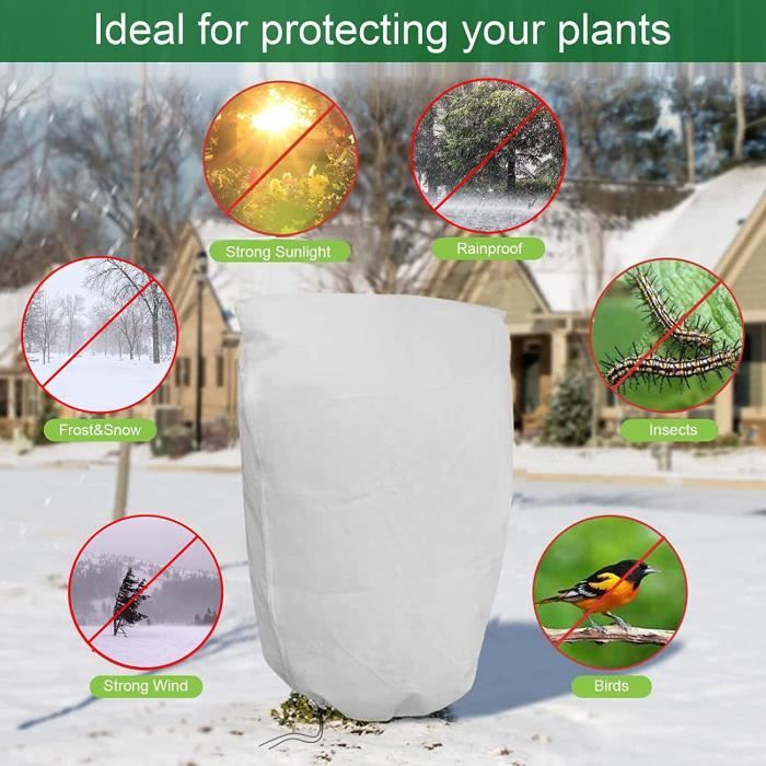 Protéger les plantes en hiver : voile d'hivernage pour plantes en