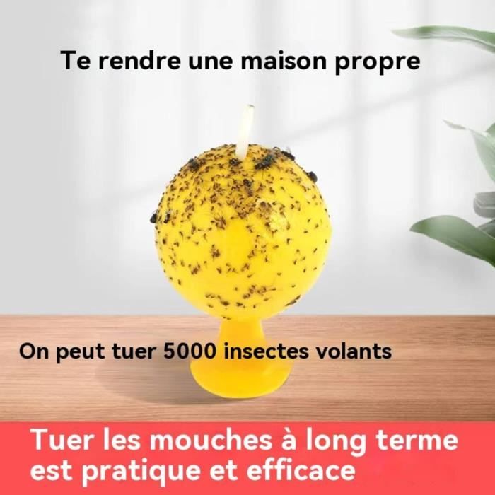 Lot 10 Pièges à Mouches De Fruits Jaunes Boules Collantes - Naturel Écologique Anti Mouches, Fourmis, Moustiques