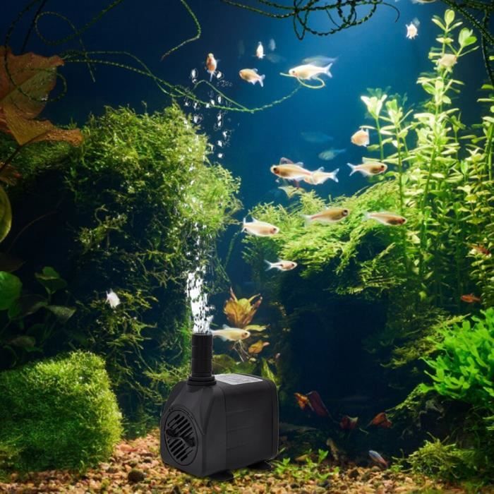 Mini-pompe à eau submersible ultra-silencieuse fontaine à réservoir pour  aquarium d'étang à poissons - Cdiscount Animalerie