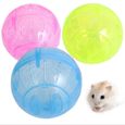 Boule de Hamster en plastique Transparent, de couleur aléatoire, en sécurité, robuste, jouet pour peti 1PCS Random Color -UO2892-0