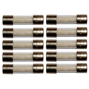 Lot de 10 fusibles temporisés T 2A 250V 5x20mm