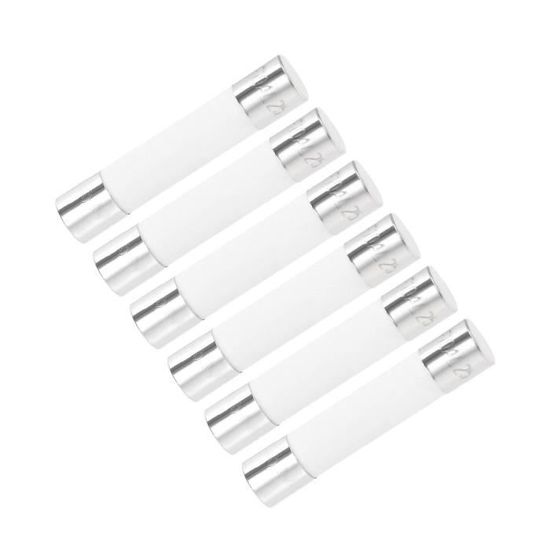 Lot De 10 Fusibles Céramique Rapide 10A 250V 6x25mm - Pour Réparation D'appareils électriques, Protection Circuit