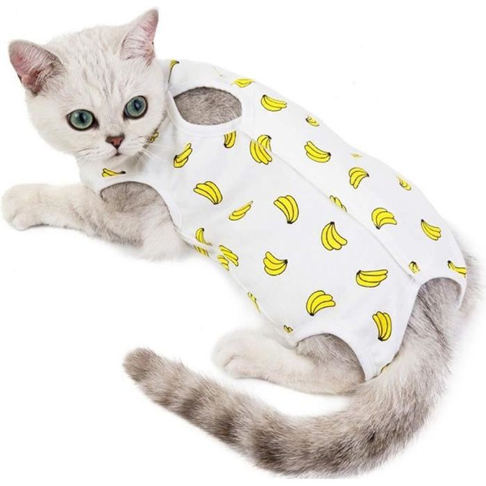 Combinaison de stérilisation pour chat Combinaison de récupération chirurgicale Banana M