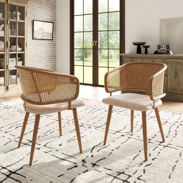 Lot de 2 Chaises de Salle à Manger - Chaises de Salon avec Dossier en ...