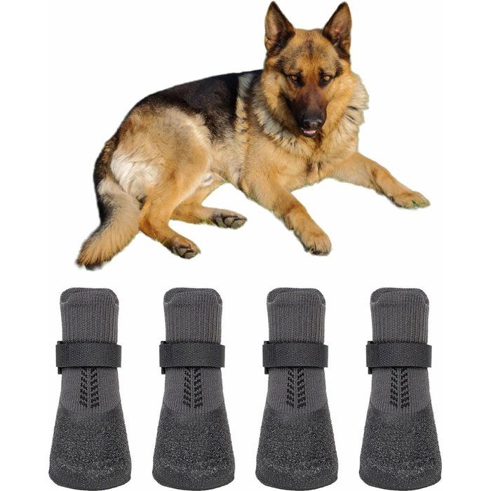 Chaussures pour chien - Taille unique - Lot de 4 - Imperméables ajustables et douces