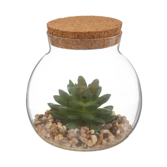 Acheter Terrarium Avec Plante