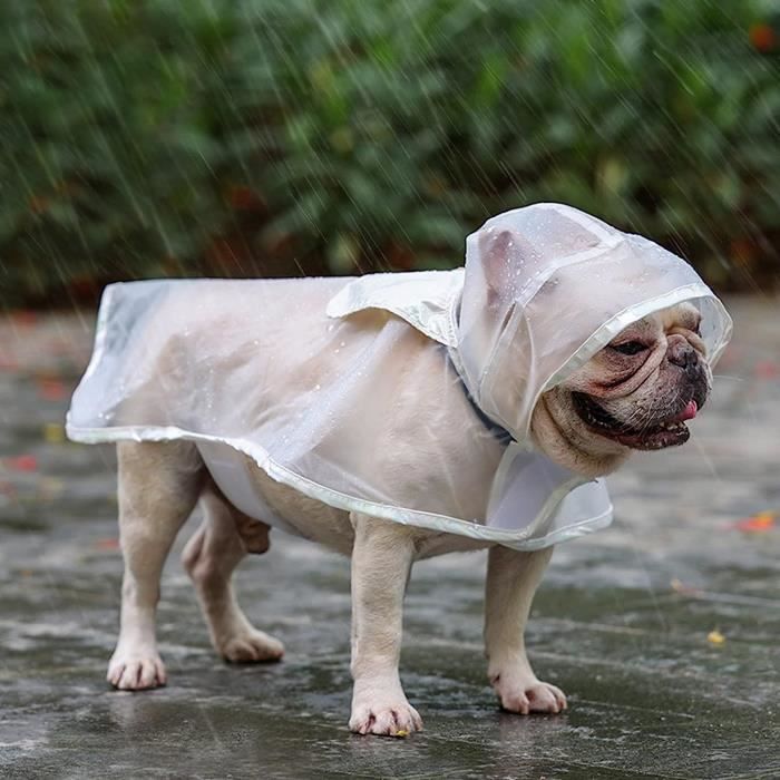 Manteaux Impermeables Pour Chiens Edoxus Manteau Pluie Chien Reglable Capuche Transparent Impermeable Poncho Petits Moyens Cdiscount